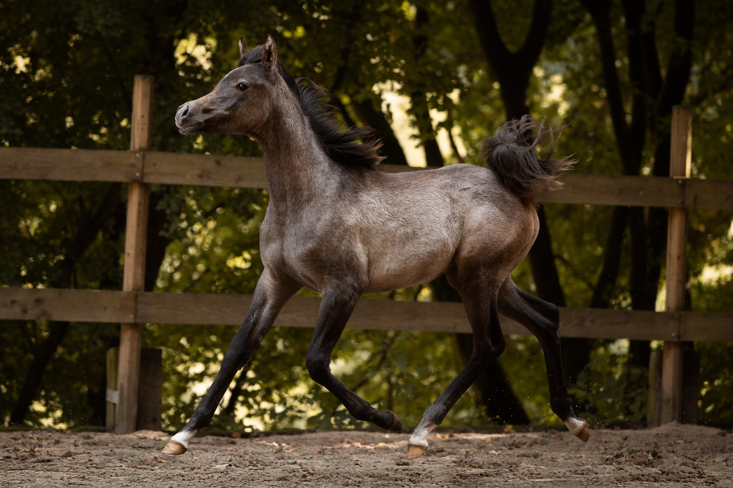 Charakter aus Gold