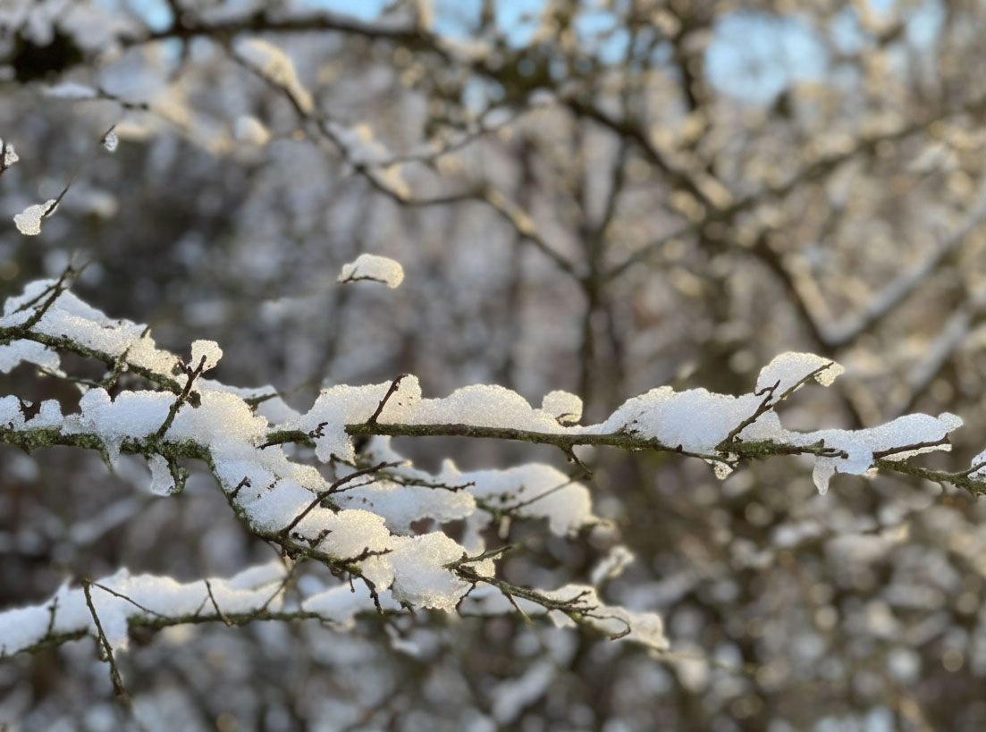 Wunderschöner Morgen mit Schnee auf dem Borner Hof