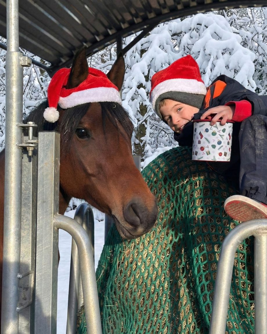 Kinder und Vollblutaraber in Weihnachtsvorbereitungen auf dem Borner Hof