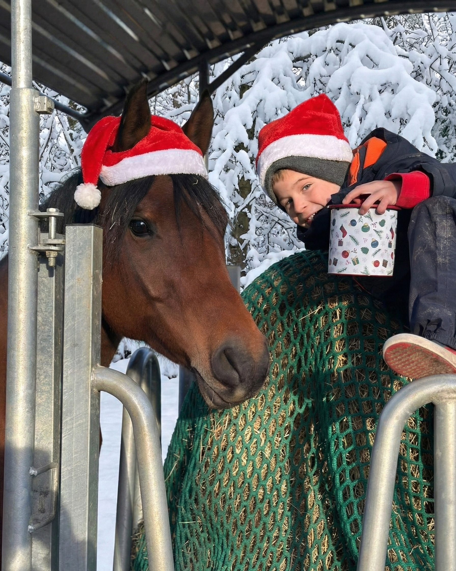 Die letzten Vorbereitungen für ruhige Feiertage
