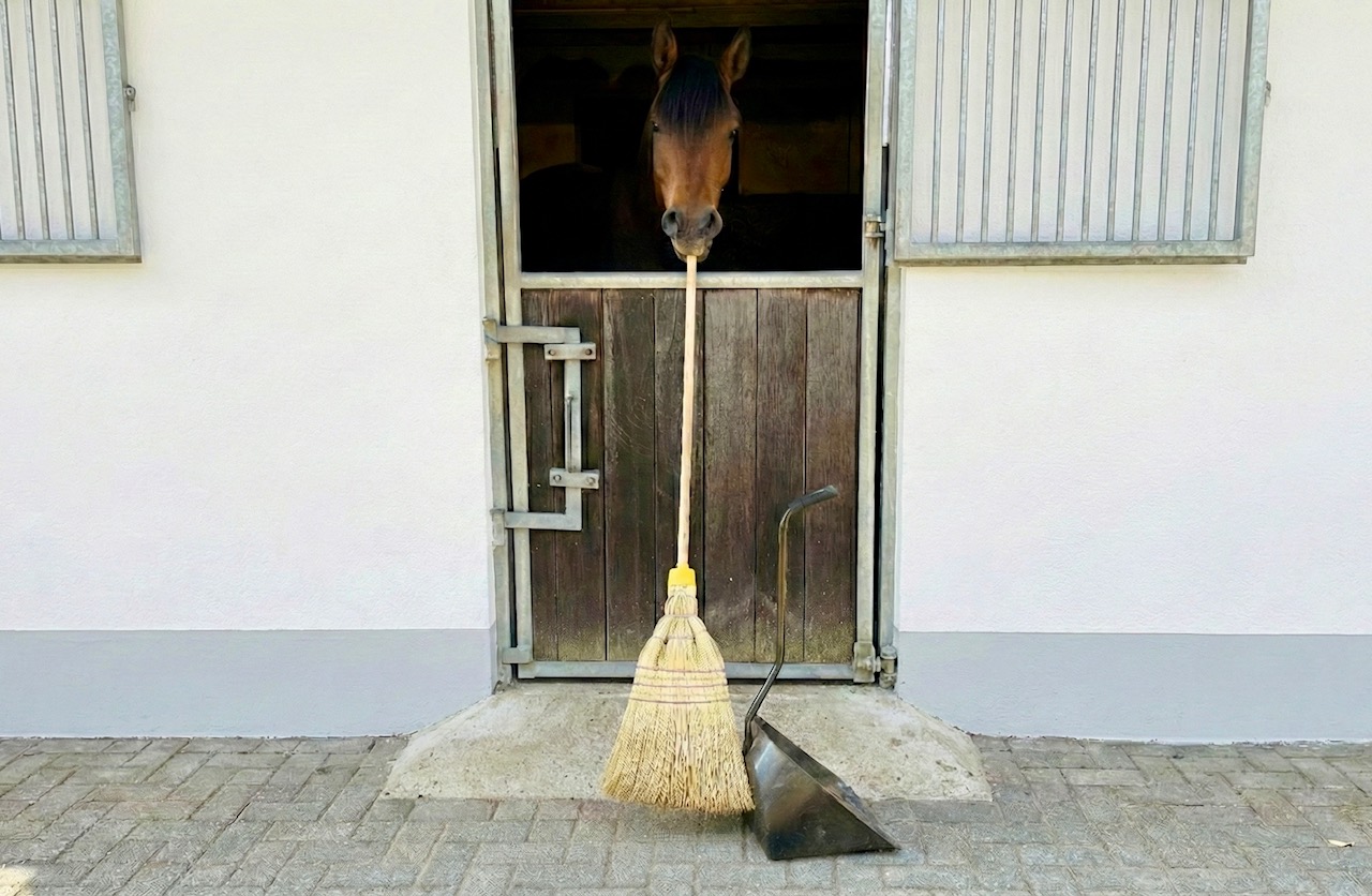 Der Januar neigt sich dem Ende – Vorfreude auf die Fohlensaison 2026