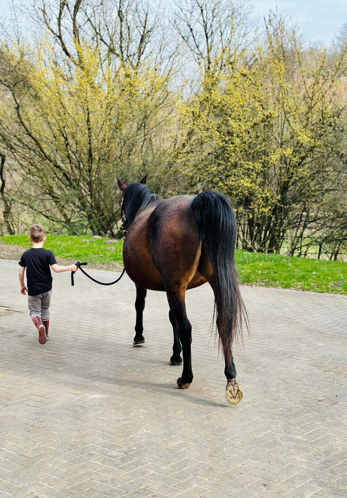 Zucht mit Herz und Familie: Wenn die Kleinsten die Größten führen