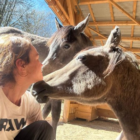 Vollblutaraber Nachzucht auf dem Paddock des Borner Hofs.