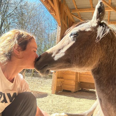 Liebevoller Kuss für Hengstjährling Macan, Vollblutaraber Nachzucht