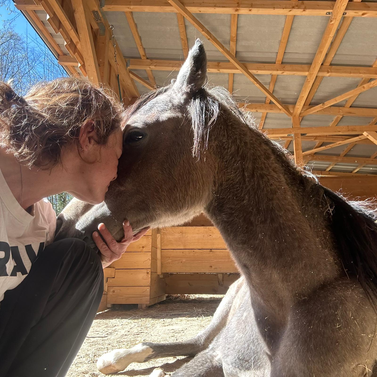 „Bist du verrückt?“ – Über die Arbeit auf dem Borner Hof