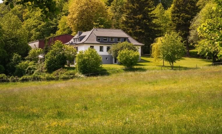 Der Borner Hof in Reichshof ist umgeben von den eigenen Wiesen und Wäldern, auf denen die Vollblutaraber grasen.