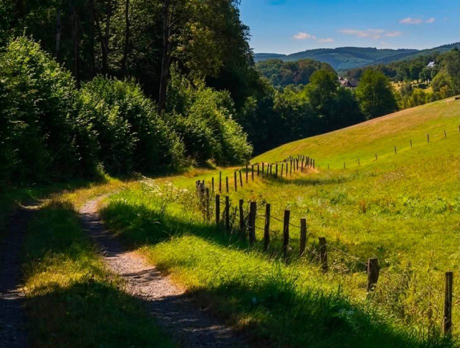 Wanderweg am Waldrand mit Weidezaun im Naturpark Bergisches Land am Borner Hof.