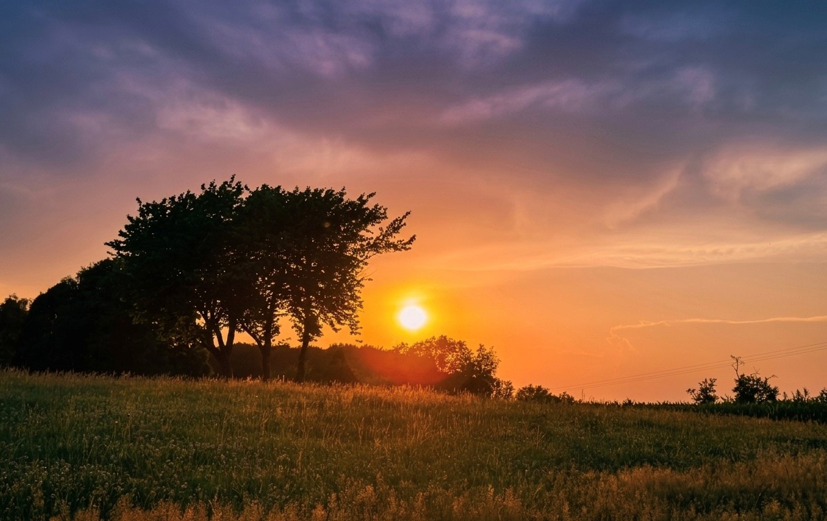 Ein Hauch von Gold…