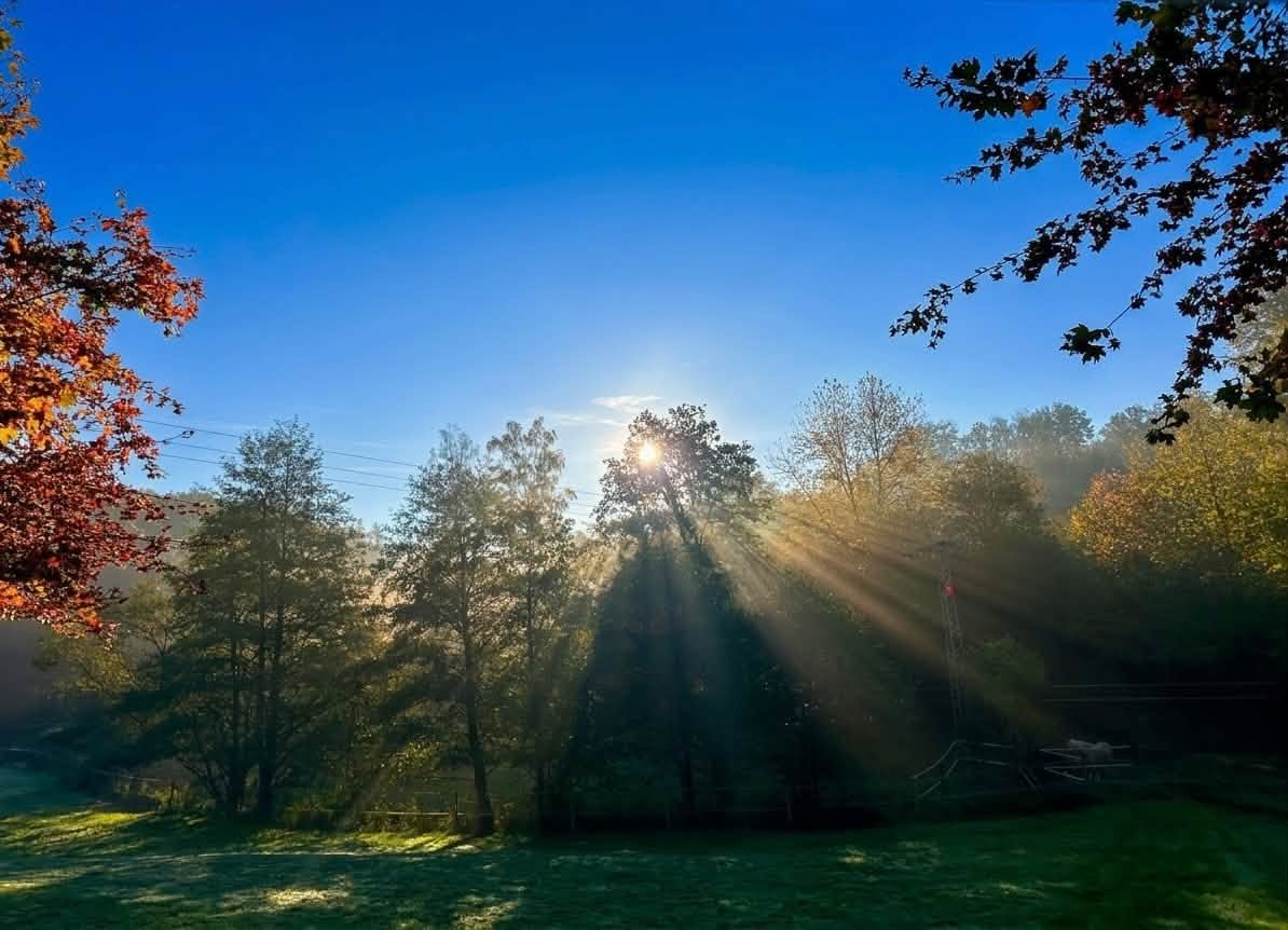 Frische Luft und Sonnenlicht über den Wiesen im Oberbergischen Land