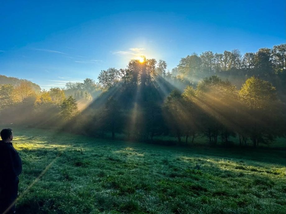 Sonnenstrahlen durchbrechen den Nebel am Morgen im Oberbergischen