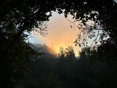 Idyllischer Weg zu den Weiden bei Sonnenaufgang.