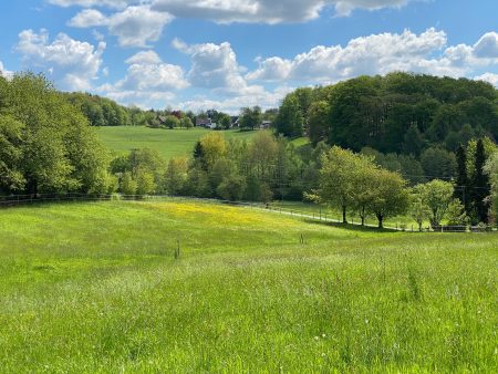 Sommerweide auf dem Borner Hof in Reichshof.